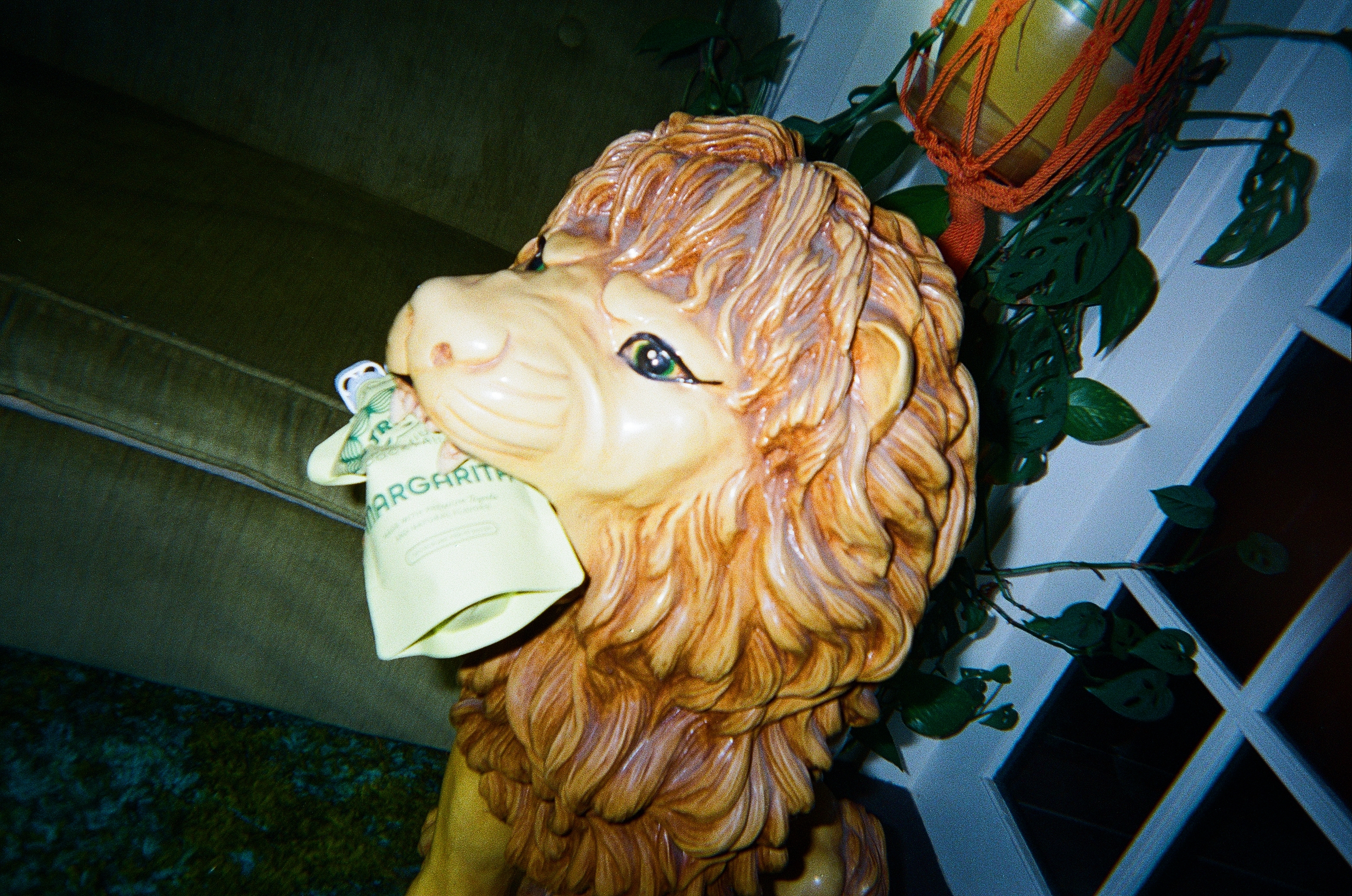 Lion sculpture holding a Triply Margarita pouch